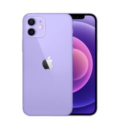 Apple iPhone 12 Mini 128GB (Klase A (Ļoti labs stāvoklis, lietots)) cena un informācija | Mobilie telefoni | 220.lv