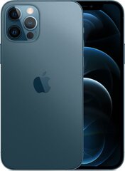 Apple iPhone 12 Pro Max 256GB (Klase A+ (Ideāls stāvoklis, lietots)) cena un informācija | Mobilie telefoni | 220.lv