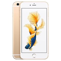 Apple iPhone 6 Plus 128GB (Klase A (Ļoti labs stāvoklis, lietots)) cena un informācija | Mobilie telefoni | 220.lv