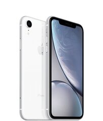 Apple iPhone 8 256GB (Класс A (Очень хорошее состояние, использованный)) цена и информация | Мобильные телефоны | 220.lv