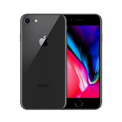 Apple iPhone 8 256GB (Класс A (Очень хорошее состояние, использованный)) цена и информация | Мобильные телефоны | 220.lv