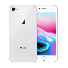 Apple iPhone 8 64GB (Klase A (Ļoti labs stāvoklis, lietots)) cena un informācija | Mobilie telefoni | 220.lv