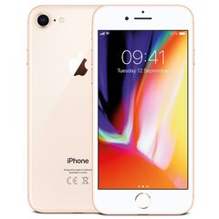 Apple iPhone 8 64GB (Klase A+ (Ideāls stāvoklis, lietots)) cena un informācija | Mobilie telefoni | 220.lv