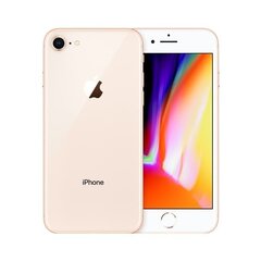 Apple iPhone 8 64GB (Klase A+ (Ideāls stāvoklis, lietots)) cena un informācija | Mobilie telefoni | 220.lv