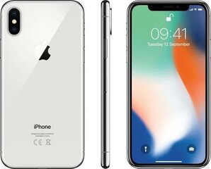 Apple iPhone X 64GB (Класс A (Очень хорошее состояние, использованный)) цена и информация | Мобильные телефоны | 220.lv