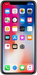 Apple iPhone X 64GB (Klase A (Ļoti labs stāvoklis, lietots)) cena un informācija | Mobilie telefoni | 220.lv