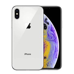 Apple iPhone Xs 256GB (Класс A (Очень хорошее состояние, использованный)) цена и информация | Мобильные телефоны | 220.lv