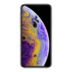 Apple iPhone Xs 256GB (Класс A (Очень хорошее состояние, использованный)) цена и информация | Мобильные телефоны | 220.lv