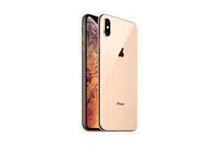 Apple iPhone Xs 256GB (Класс A (Очень хорошее состояние, использованный)) цена и информация | Мобильные телефоны | 220.lv