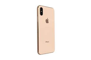 Apple iPhone Xs 64GB (Класс A (Очень хорошее состояние, использованный)) цена и информация | Мобильные телефоны | 220.lv