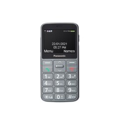 Panasonic KX-TU160EXG Gray cena un informācija | Mobilie telefoni | 220.lv