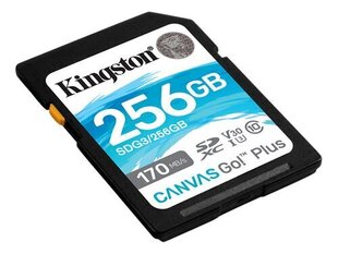 Kingston Canvas Go! Plus 256 GB, SD, Fla цена и информация | Карты памяти для мобильных телефонов | 220.lv