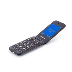 Panasonic KX-TU400EXG Gray cena un informācija | Mobilie telefoni | 220.lv