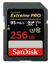 Sandisk от Western Digital SDSDXXD-256G-GN4IN 256 ГБ цена и информация | Карты памяти для мобильных телефонов | 220.lv