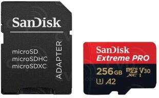 Карта памяти для телефона Sandisk, SDSQXCD-256G-GN6MA цена и информация | Карты памяти для мобильных телефонов | 220.lv