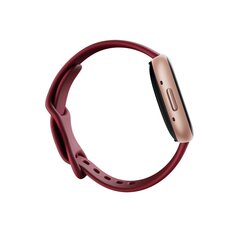 Fitbit Versa 4 NFC Beet Juice/Copper Rose FB523RGRD цена и информация | Смарт-часы (smartwatch) | 220.lv