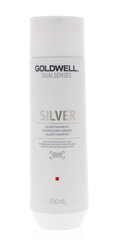 Goldwell Dualsenses Silver Shampoo 250ml цена и информация | Шампуни | 220.lv