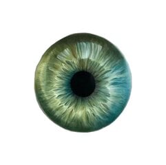 D’Luxe sienas dekors Green Eye cena un informācija | Interjera priekšmeti | 220.lv