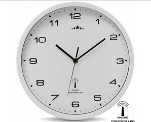 Sienas pulkstenis 31cm cena un informācija | Pulksteņi | 220.lv