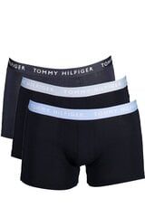 Apakšveļa vīriešiem TOMMY HILFIGER UM0UM02324 цена и информация | Мужские трусы | 220.lv