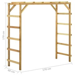 Lauko laipiojimo sienelė, 170x60x170cm, pušies medienos masyvas cena un informācija | Slidkalniņi, kāpšanas konstruktori | 220.lv