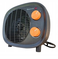 Elektriskais sildītājs, ventilators, termostats, Ravanson PRO, 2000W cena un informācija | Sildītāji | 220.lv