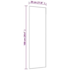 durvju spogulis, zelta krāsa, 30x100 cm, stikls un alumīnijs цена и информация | Зеркала | 220.lv