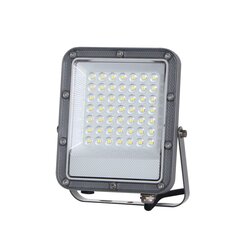 Светодиодный прожектор Timbo  FD-23913-30W цена и информация | Уличное освещение | 220.lv