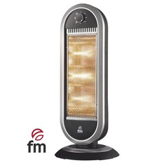 Radiators Grupo FM H30 cena un informācija | Sildītāji | 220.lv