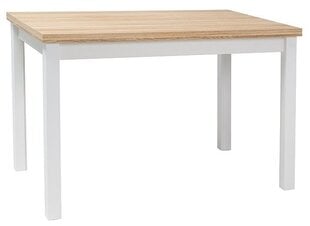 Стол Signal Meble Adam DB, 60x100 см, дуб/белого цвета цена и информация | Кухонные и обеденные столы | 220.lv