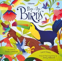 Pop-Up Birds цена и информация | Книги для малышей | 220.lv