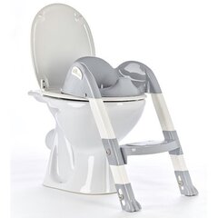 Туалетное сиденье со ступенькой Thermobaby Kiddyloo,Grey Charme цена и информация | Детские горшки | 220.lv