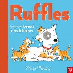 Ruffles and the Teeny Tiny Kittens цена и информация | Книги для малышей | 220.lv