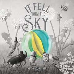 It Fell From The Sky цена и информация | Книги для малышей | 220.lv