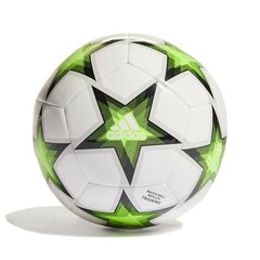 Футбольный мяч Adidas Euro 24 Fussballliebe White Colored IN9369 IN9369/4 цена и информация | Футбольные мячи | 220.lv