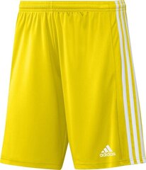 Vīriešu šorti adidas Squadra 21 GN5772, dzelteni, M cena un informācija | Futbola formas un citas preces | 220.lv