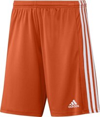 Vīriešu šorti adidas Squadra 21 GN8084, oranžs, M cena un informācija | Futbola formas un citas preces | 220.lv