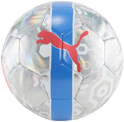 Puma Мячи Cup Ball Grey Blue 084075 01 084075 01/4 цена и информация | Футбольные мячи | 220.lv