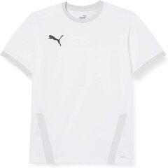 Puma Kinder Teamgoal 23 Jersey Jr T-krekls, balts, 128 cena un informācija | Futbola formas un citas preces | 220.lv