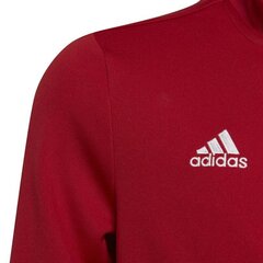 Bērnu džemperis Adidas Entrada 22 Tk Jkt H57563, sarkans cena un informācija | Futbola formas un citas preces | 220.lv