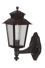 Āra sienas lampa Avonni BAP-68211-BSY, 1 gab. цена и информация | Уличное освещение | 220.lv