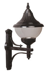 Āra sienas lampa Avonni BAP-68207-BSY-M1, 1 gab. цена и информация | Уличное освещение | 220.lv