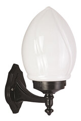 Āra sienas lampa Avonni BAP-68204-BSY-M1, 1 gab. cena un informācija | Āra apgaismojums | 220.lv