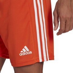 Vīriešu šorti adidas Squadra 21 GN8084, oranžs, L cena un informācija | Futbola formas un citas preces | 220.lv