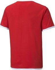 Рубашка Puma Unisex-Child, Puma Red-Puma White, 116 цена и информация | Футбольная форма и другие товары | 220.lv