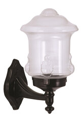 Āra sienas lampa Avonni BAP-68189-BSY-M3, 1 gab. цена и информация | Уличное освещение | 220.lv