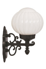 Āra sienas lampa Avonni BAP-68187-BSY-M1, 1 gab. cena un informācija | Āra apgaismojums | 220.lv