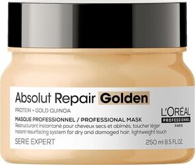 Восстанавливающая маска для волос L’Oreal Professionnel Serie Expert Absolut Repair Golden 250 мл цена и информация | Средства для укрепления волос | 220.lv