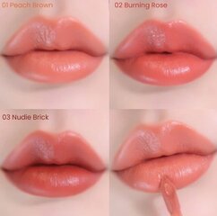 Heimish - Dailism Liquid Lipstick 02 (Burning Rose) - šķidrā lūpu krāsa cena un informācija | Lūpu krāsas, balzāmi, spīdumi, vazelīns | 220.lv