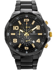 Vīriešu pulkstenis Perfect Ramon, tērauds цена и информация | Мужские часы | 220.lv